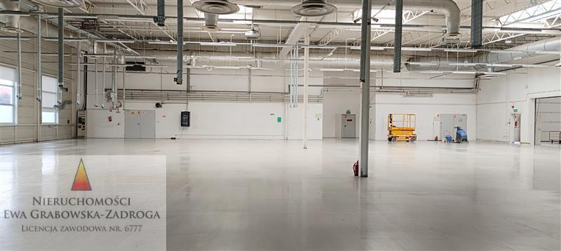 GE0 1 12011197 4 101