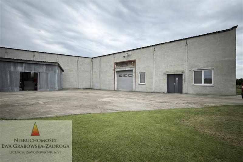 GE0 1 12392584 13 113